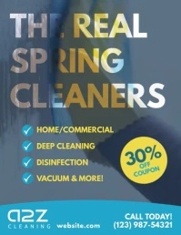 Cleaning Service Animated Video Post Template Flyer (US Letter)