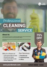 Cleaning Services Flyer A2 template