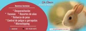 Pink Clinica de Mascota Facebook Facebook-coverfoto Template