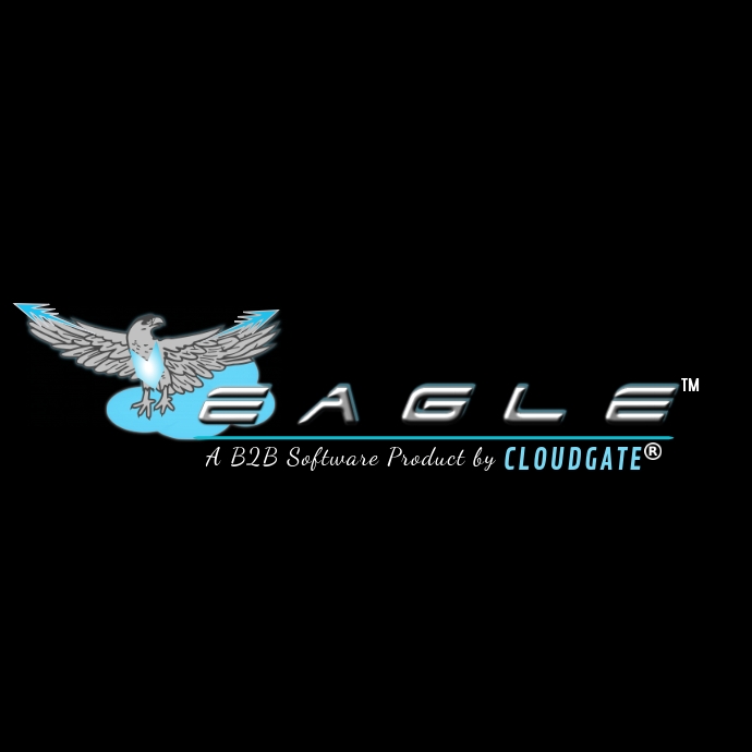 CLOUD IT Eagle Logo template