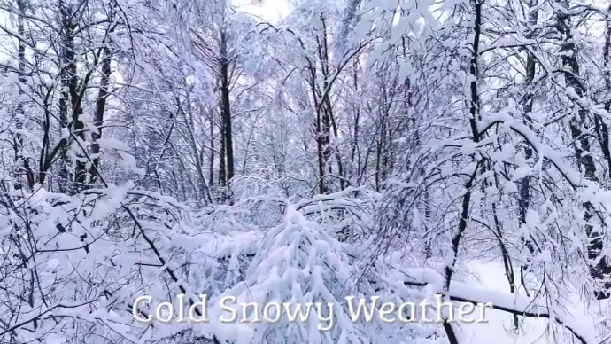 Plantilla de Cold Snowy Weather | PosterMyWall