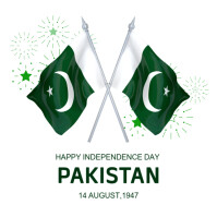 Collage National/independence Day/independence/august/day/pakistan/freedom/flag/celebration Instagra Instagram Post template