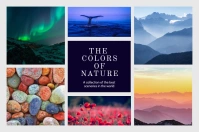 Colorful Landscape Nature Collage Poster template