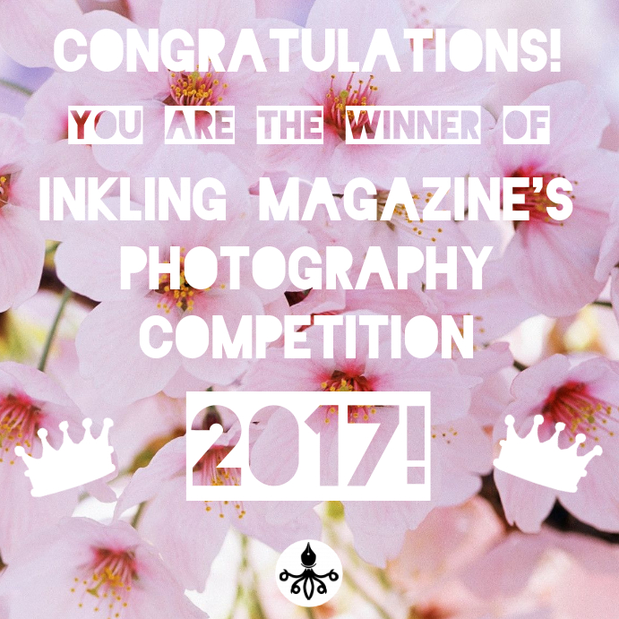 Competition Certificate Template | PosterMyWall