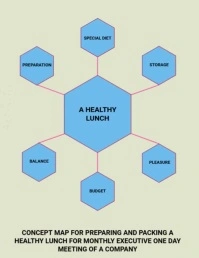Concept Map Iflaya (Incwadi ye-US) template