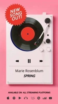 Concert/Band Instagram Story Template