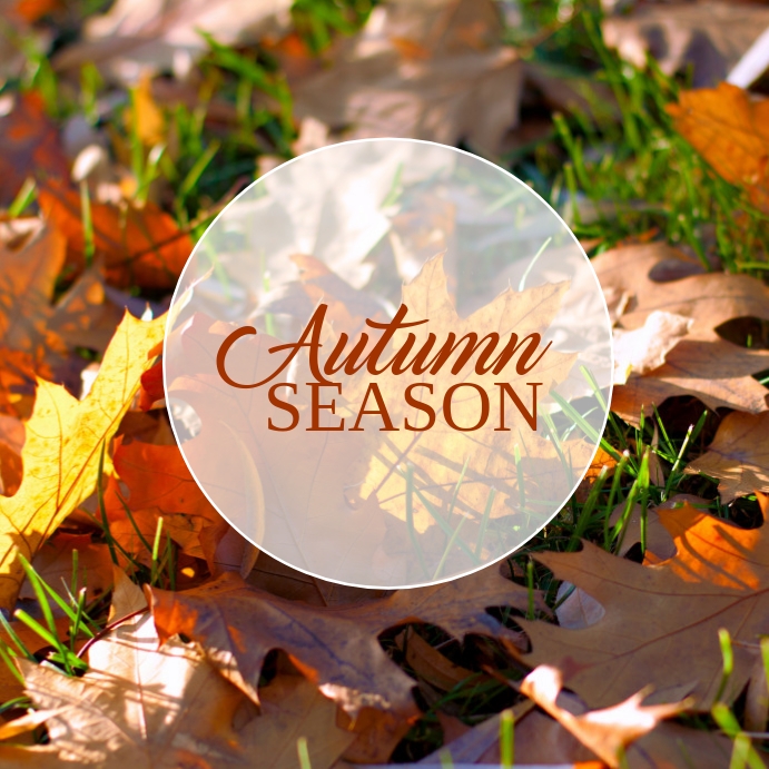 Copy of 57 Autumn and Fall | PosterMyWall