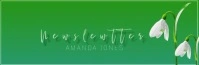 mail header newsletter templa template