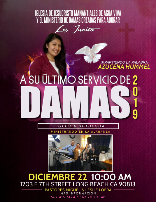 DAMAS2019 Flyer (US Letter) template
