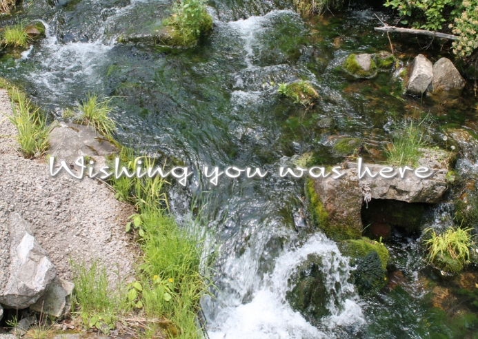 nature Postcard template