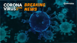 Coronavirus Covid 19 news 3d zoom background Presentación (16:9) template