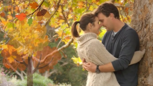 Couple Love In Forest 数字显示屏 (16:9) template