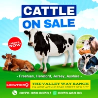 Cow cattle on sale auction farm house poster advertisement promotion flyer template design free