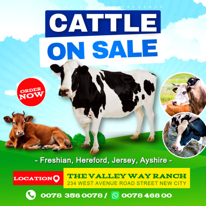 Cow cattle on sale auction farm house poster advertisement promotion flyer template design free Instagram-opslag