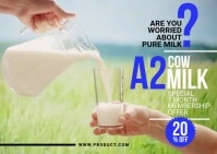 Cow Milk Sale Template Pocztówka