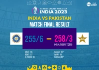 Cricket Match Final Result Template Postcard