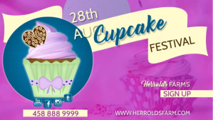粉色 Cupcake Festival Facebook Cover Video Template