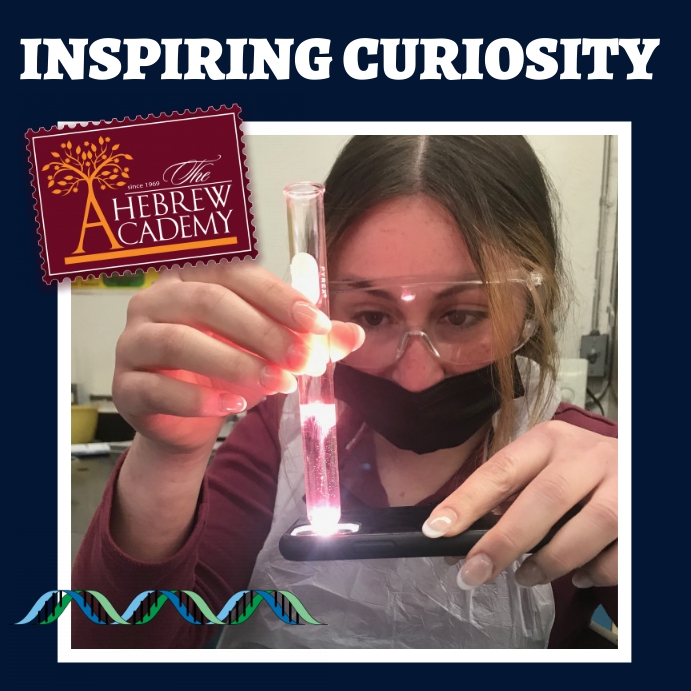 Curiosity Template | PosterMyWall