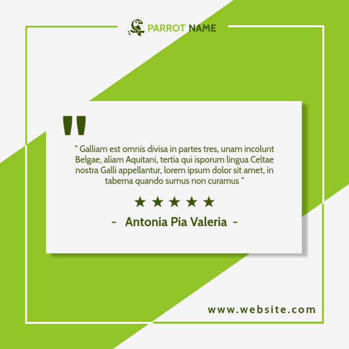 customer or client review template instagram PosterMyWall