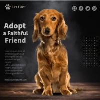 Cute Dog Adoption Square (1:1) template