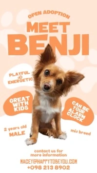 Cute Dog Adoption Instagram Story template