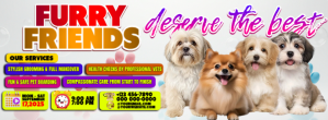 Cute Doggy Pet Boarding Flyer Facebook-coverfoto template