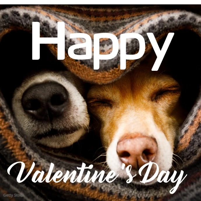 Cute Dogs Valentine’s Day Card Instagram Post template