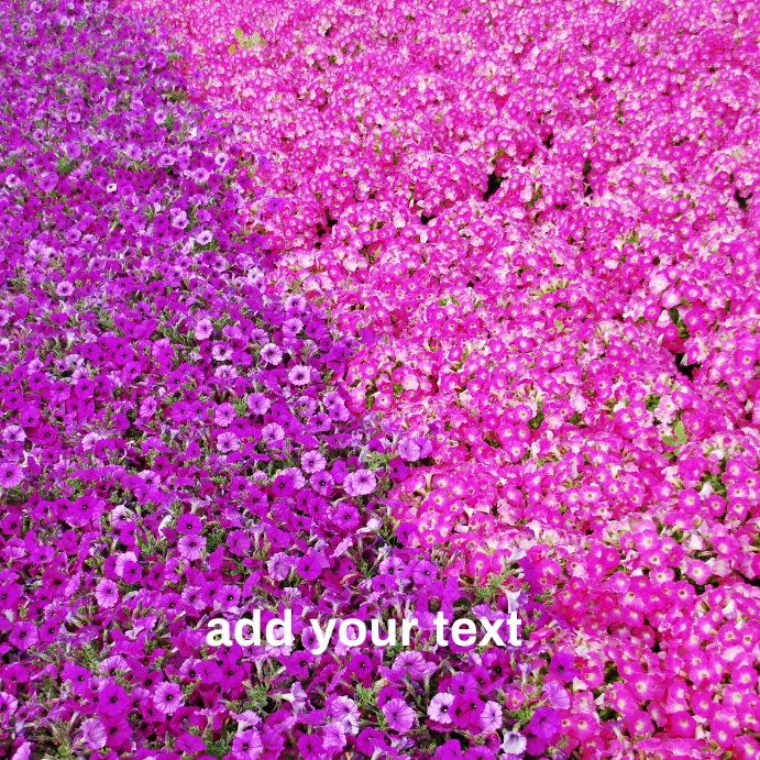 cute party invite template PosterMyWall