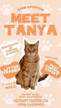Cute Pet Adoption Reels template