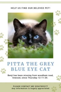 Cute White Cat Lost Pet Poster Template โปสเตอร์