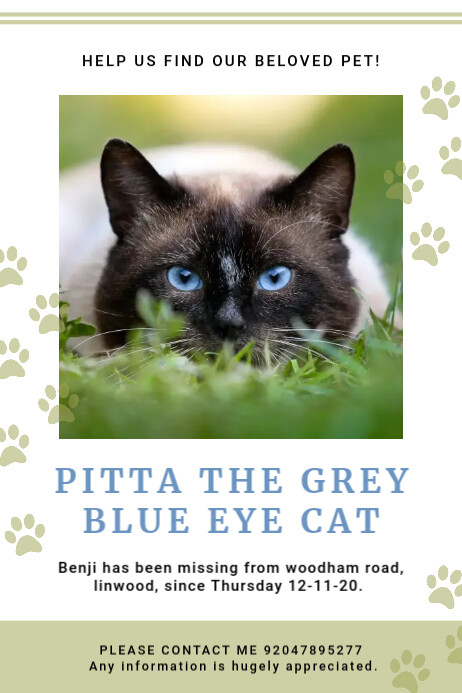 Modele D Affiche D Animal Familier Perdu Chat Blanc Mignon Postermywall Modele D Affiche D Animal Familier Perdu Chat Blanc Mignon Postermywall