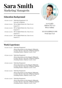 Cv Lebenslauf Skil Card Job Curriculum Vitae Template Postermywall Cv Lebenslauf