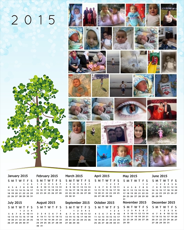 Calendar Collage PosterMyWall