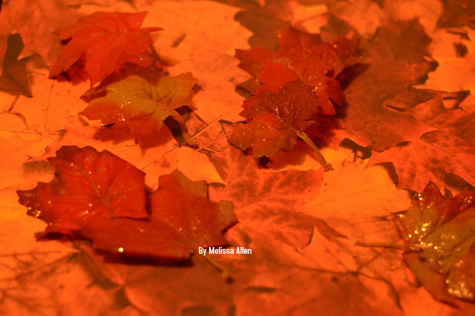 3d Leaves 2 Template PosterMyWall