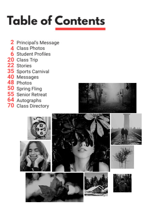 Social Magazine Table of Contents A4 template