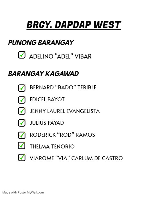 Green Student Council Election Flyer | PosterMyWall