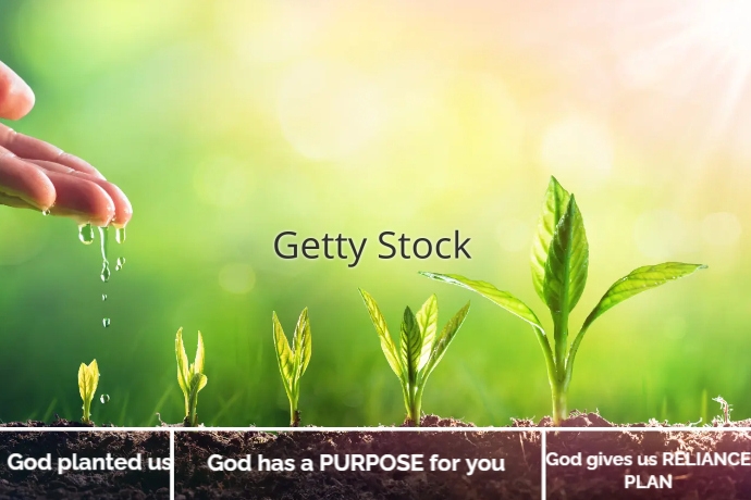 Natural Plant Seed Label Template | PosterMyWall