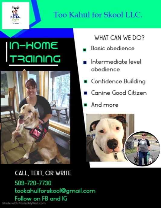 dog trainer company flyer PosterMyWall