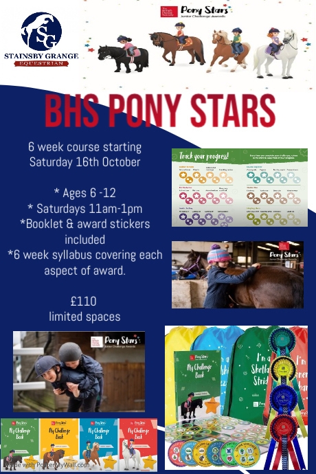 Copy of Horse Riding Lessons Video ad template | PosterMyWall