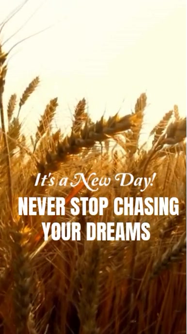Daily Motivational video display Reel do Instagram template