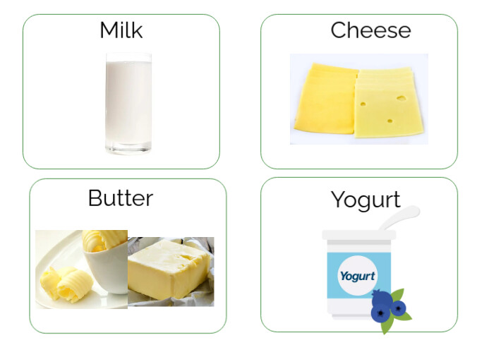 Dairy products flash cards milk, cheese butter yogurt A4 template