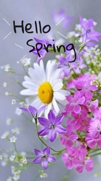 Daisy spring hello spring Template | PosterMyWall