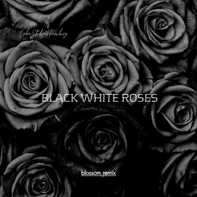 White Roses Cover Photo