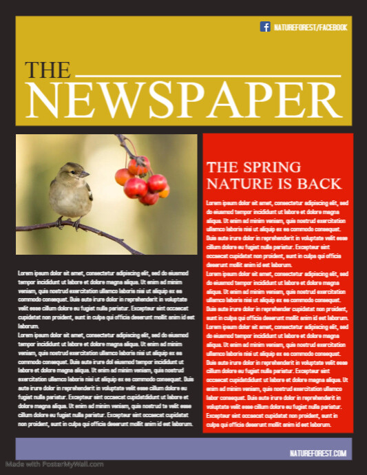 Newspaper | PosterMyWall
