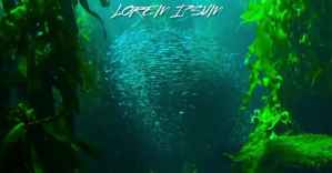 Verde Underwater Scene Facebook Shared Image Template