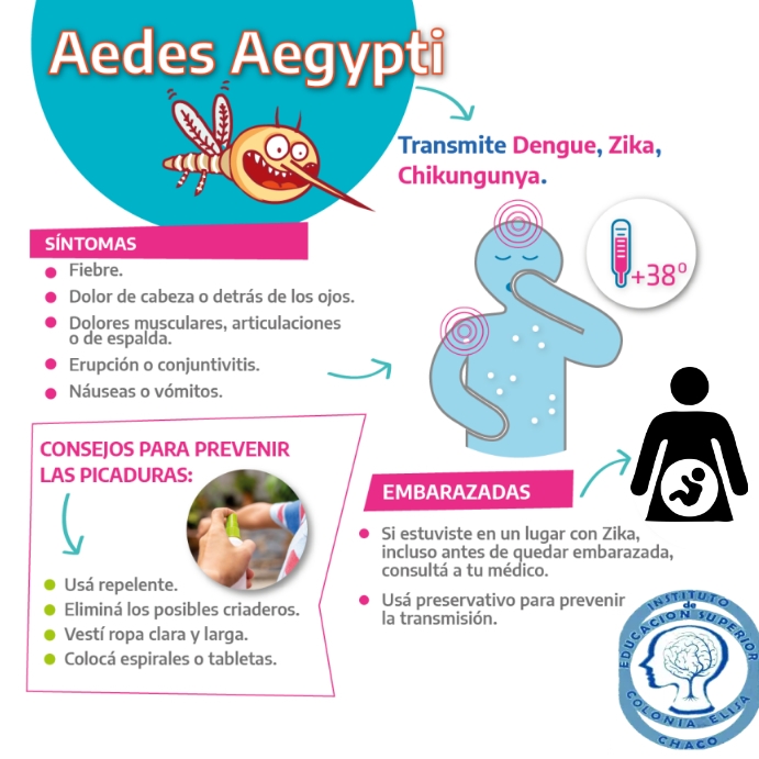 DENGUE โพสต์บน Instagram template