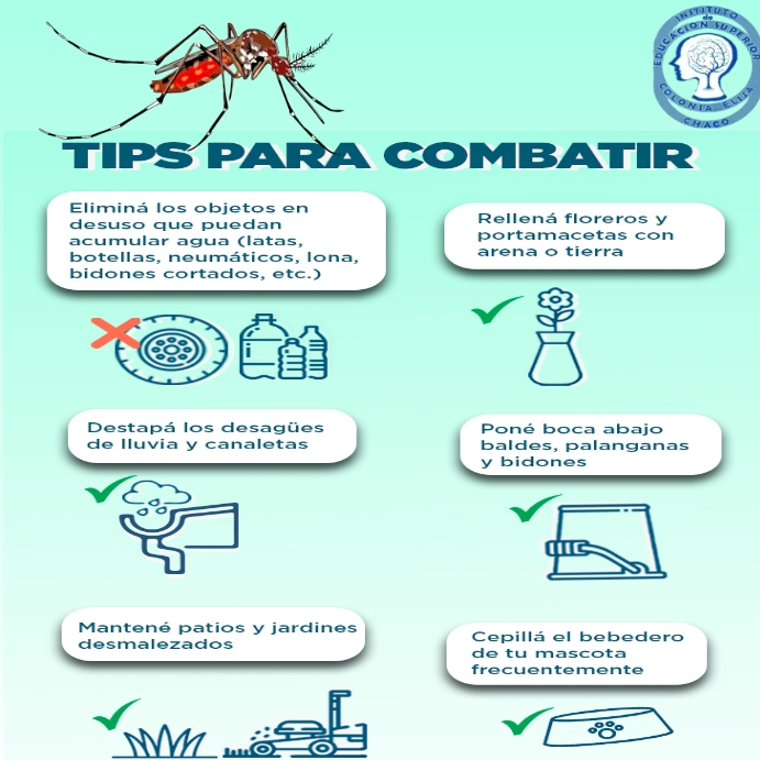 DENGUE Pos Instagram template