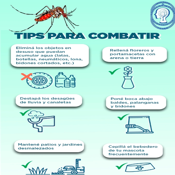 DENGUE Instagram na Post template