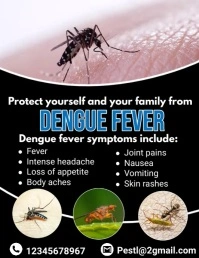 dengue fever Flyer (US Letter) template