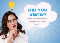 Did You Know Banner Poskaart template